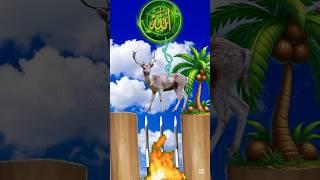 Mustafa Mustafa #islamicshorts #animals #cartoon #vfx #shorts