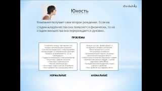 Концепция организации по Адизесу (А.Бершадский, Кое что о MBA)