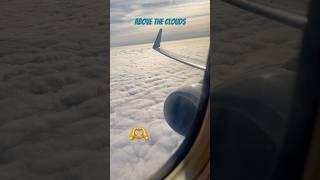 Flying Ryanair: An Aeroplane View