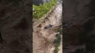 Dramatic moment severe flooding sweeps cars away in Spain