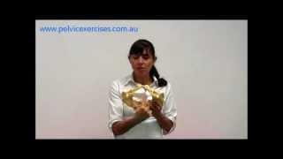 Pelvic Exercises for Women to Strengthen Your Pelvic Floor