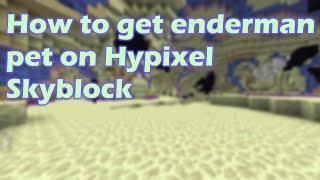 How to get enderman pet on Hypixel Skyblock