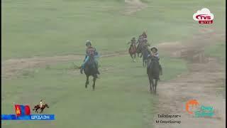 Шоу халзан Mongolian horse race