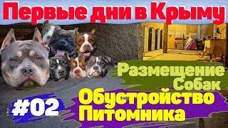 Переезд в Крым. Первые дни. Обустройство Питомника.  #02