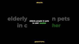 Why you should check on elderly people and pets in cold weather  #shorts #youtubeshorts #quotes