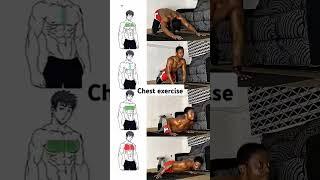 chest exercise#fitness