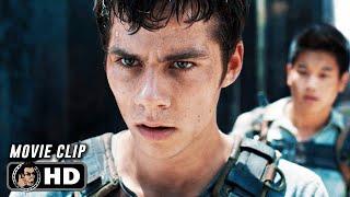 THE MAZE RUNNER Clip - "Thomas And Minho Survive The Maze" (2014)