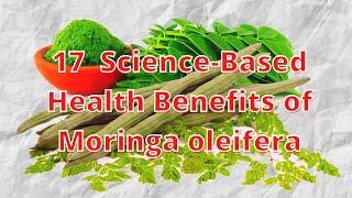 17  Science Based Health Benefits of Moringa oleifera