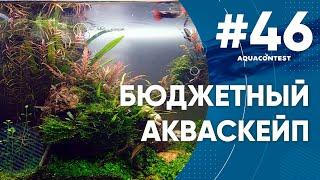 Бюджетный акваскейп #Aquacontest