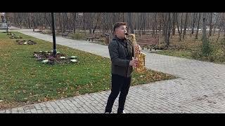 Denis Andrei Balcu-️- Eu te iubesc prea mult (cover)