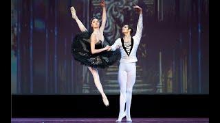 The Swan Lake pas de deux. Alena Kovaleva & Jacopo Tissi