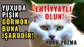 Yuxuda Pişik Görmək nə deməkdir? | Yuxu Yozmaları