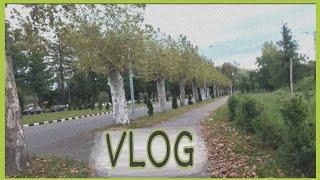 VLOG: პრეტენზიული ბავშვი/დილის გაუგებრობა/ვეძებ ადგილს ზღვაზე