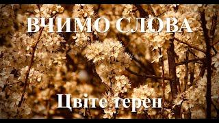 Цвіте терен. Українська народна пісня. Читає Вікторія Сергієнко