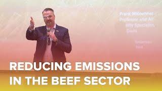 How to Reduce Greenhouse Gas Emissions in Beef Production for a Healthier Planet