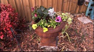 Planting a fresh winter container!