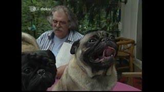 Mein Freund, der Mops   ZDF Doku, 2007