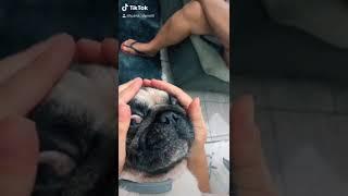 Erro no Pug Windows