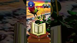 Viral video YouTube channel 1200 subscribers 1200 subscribers
