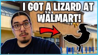 Getting a Lizard from Walmart!