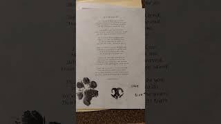My baby boys nose print & paw print. I love you Blue 9/2014-2/17/2025
