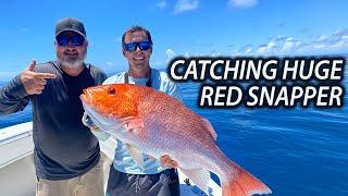 Catching Huge Red Snapper