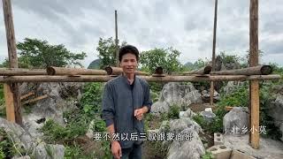 小莫的田园生活，既然去不了诗和远方，那就打造自己的梦想家园 #我的田园生活