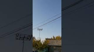 Миро - KG 312!!! Пепельная   