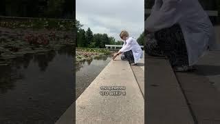Идея для видео с прогулки.
