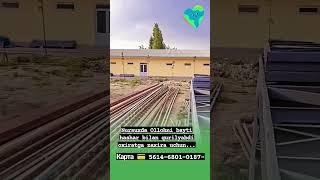 Nursux diyorida ollohni bayti qurilyabdi no comment....