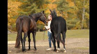 Our Journey With Horses!