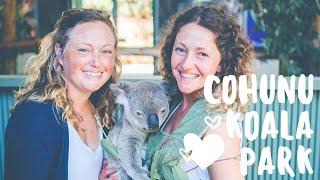 COHUNU KOALA PARK | HOLD A CUTE KOALA | BABY KOALAS | PERTH AUSTRALIA