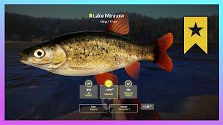 Micro Fish Trophy Spot - Lake Minnow - Lower Tunguska River - Russian Fishing 4 RF4