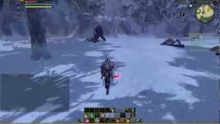 RaiderZ Wpe PRO Tutorial