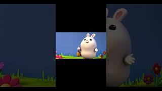 The white rabbit prepared the party all by himself