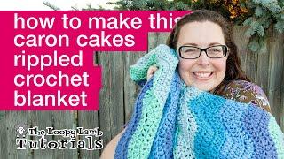 Caron Anniversary Cakes Blanket Pattern Tutorial