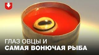 Самая отвратительная еда со всего мира — теперь в одном музее!