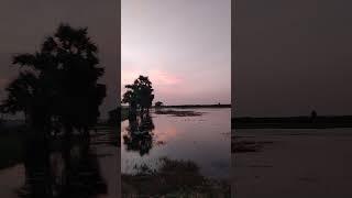 Read colour sunset #sun #sunrise #sunsets #evening #paddy's #palamtree #sounds #water #red