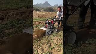 Small-sized tiller