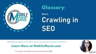 What is 'Crawling' in SEO? Cindy Krum Helps you understand - MobileMoxie Glossary Videos