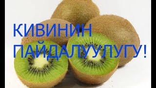 КИВИ МОМОСУНУН ПАЙДАСЫ ЖАНА ЗЫЯНДУУЛУГУ!!! СОЗСУЗ КОРГУЛО!!!