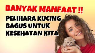 Wajib Tau !! 10 Manfaat Memelihara Kucing Menurut Islam untuk Kesehatan dan Spiritualitas Kita