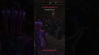 Cheydinhal Mages Guild Defends My Honor! -- Oblivion Remake