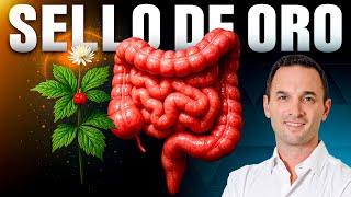 The plant that HEALS your Intestine, Brain and Immune System (NATURALLY)