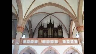 Ringe recht, wenn Gottes Gnade. Thorsten Pirkl, Organ.