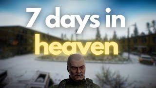 7 days of tarkov