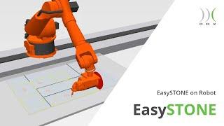 DDX PILLS | EasySTONE on Robot