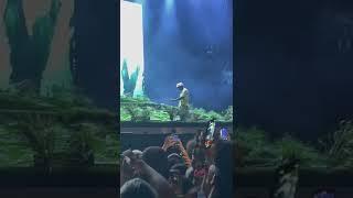 Tyler the Creator - Earfquake at Openair Frauenfeld 2022