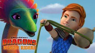 Sneeze Powder | DRAGONS RESCUE RIDERS | NETFLIX