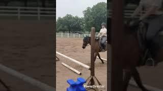 we finally mastered one strides!!!! #horse #equestrain #jumping